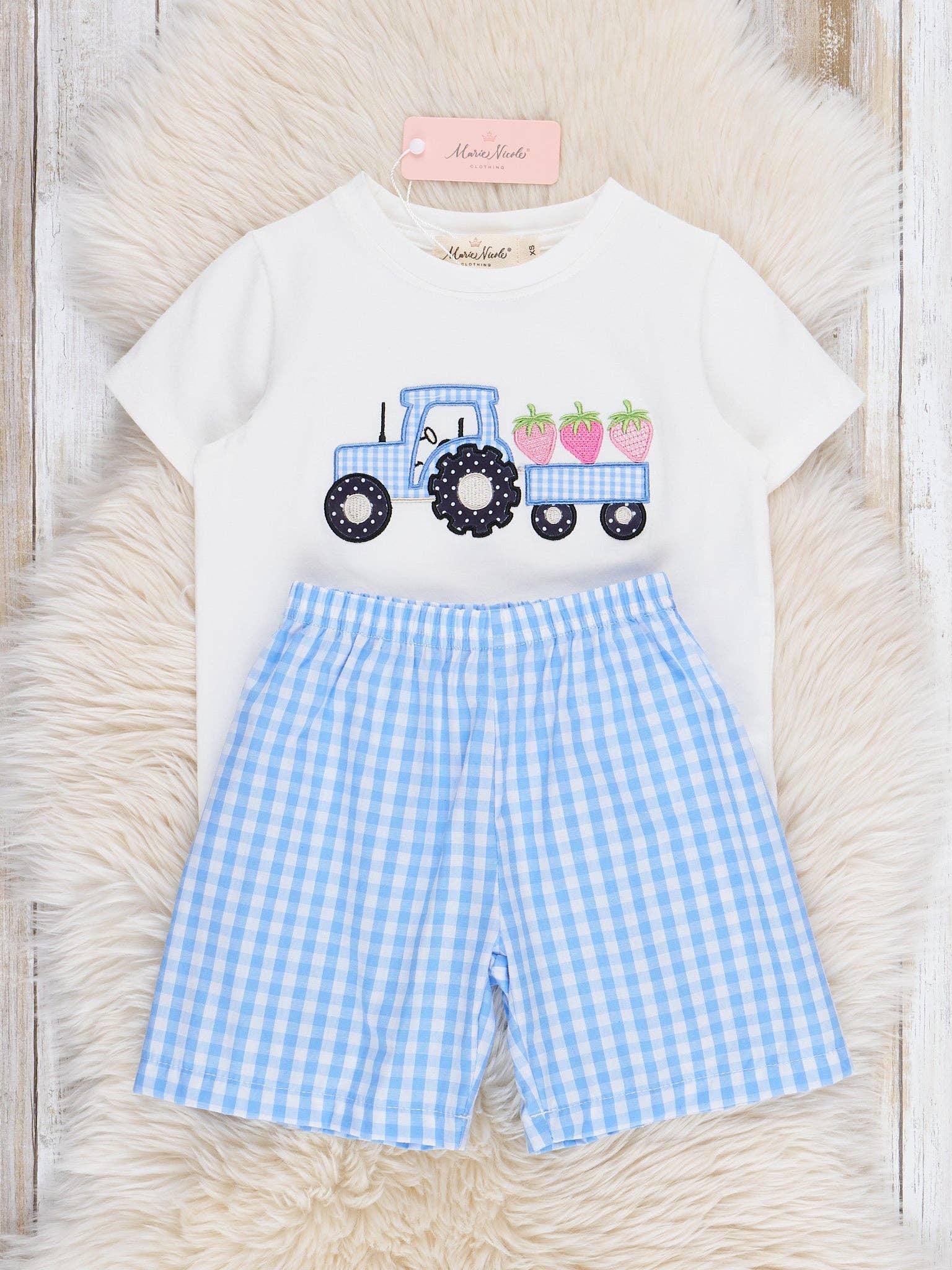Gingham Embroidered Fruit Truck Cotton Outfit